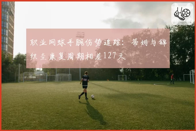 职业网球手腕伤势追踪：蒂姆与锦织圭康复周期相差127天