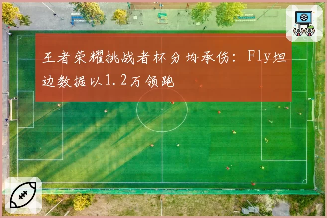 王者荣耀挑战者杯分均承伤：Fly坦边数据以1.2万领跑