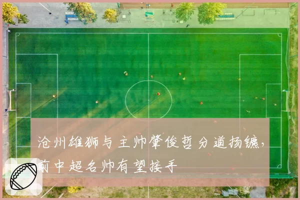 沧州雄狮与主帅肇俊哲分道扬镳，前中超名帅有望接手