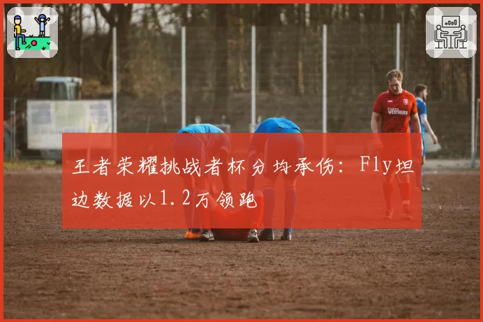 王者荣耀挑战者杯分均承伤：Fly坦边数据以1.2万领跑
