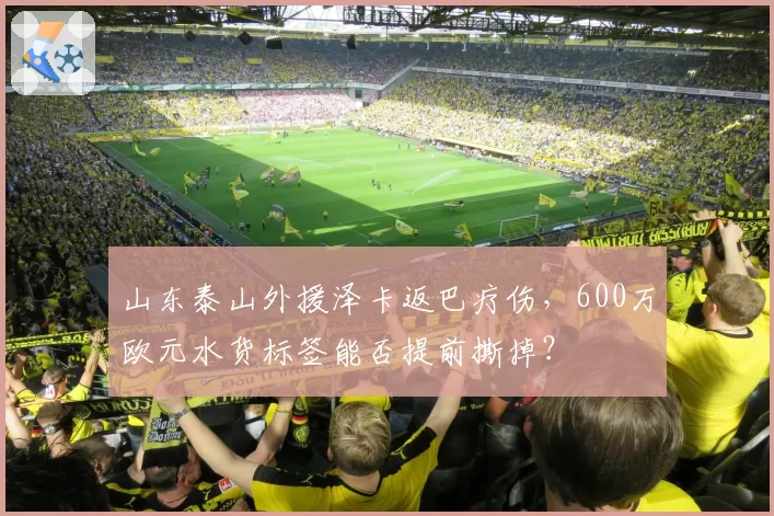 山东泰山外援泽卡返巴疗伤,600万欧元水货标签能否提前撕掉?