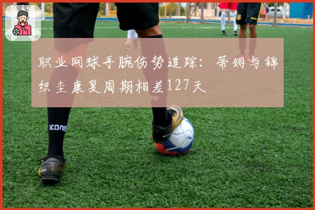 职业网球手腕伤势追踪：蒂姆与锦织圭康复周期相差127天