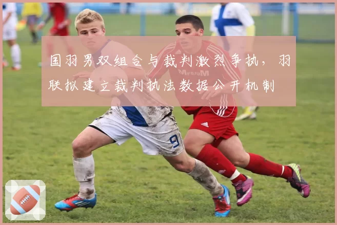 国羽男双组合与裁判激烈争执，羽联拟建立裁判执法数据公开机制